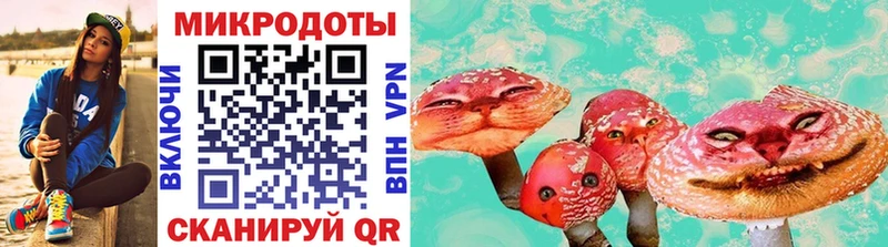 Псилоцибиновые грибы Cubensis  Новосокольники 